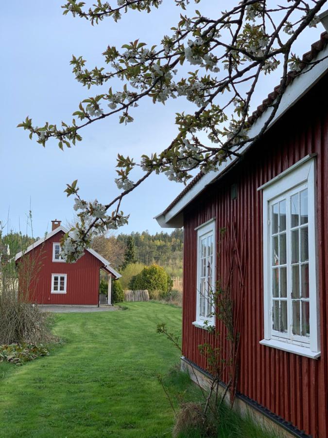 Morellgarden Larvik Extérieur photo