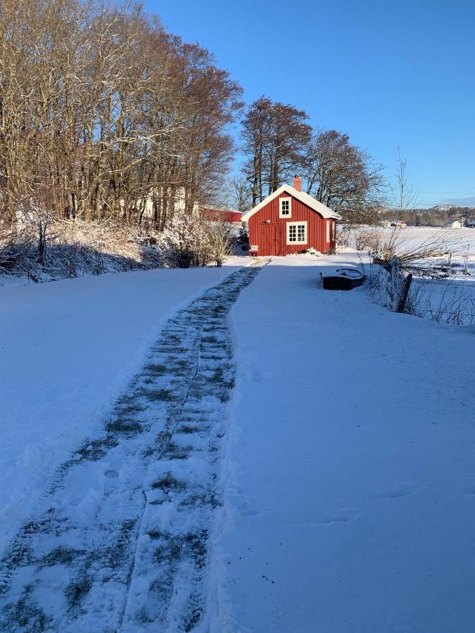 Morellgarden Larvik Extérieur photo